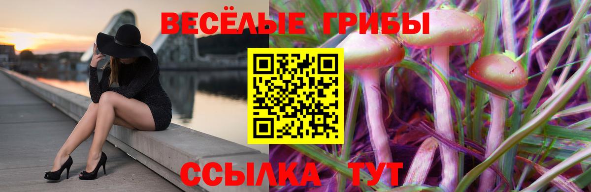 Псилоцибиновые грибы GOLDEN TEACHER  Вход с VPN  Коммунар 